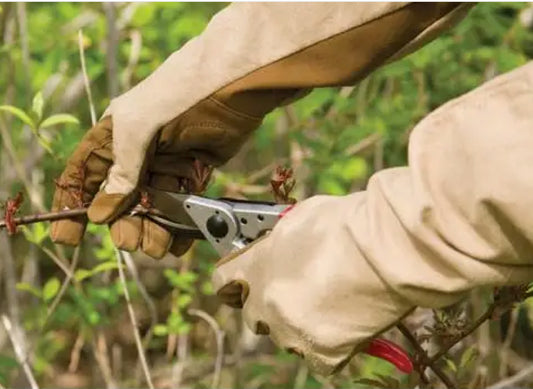 Gloves - Extra Protection