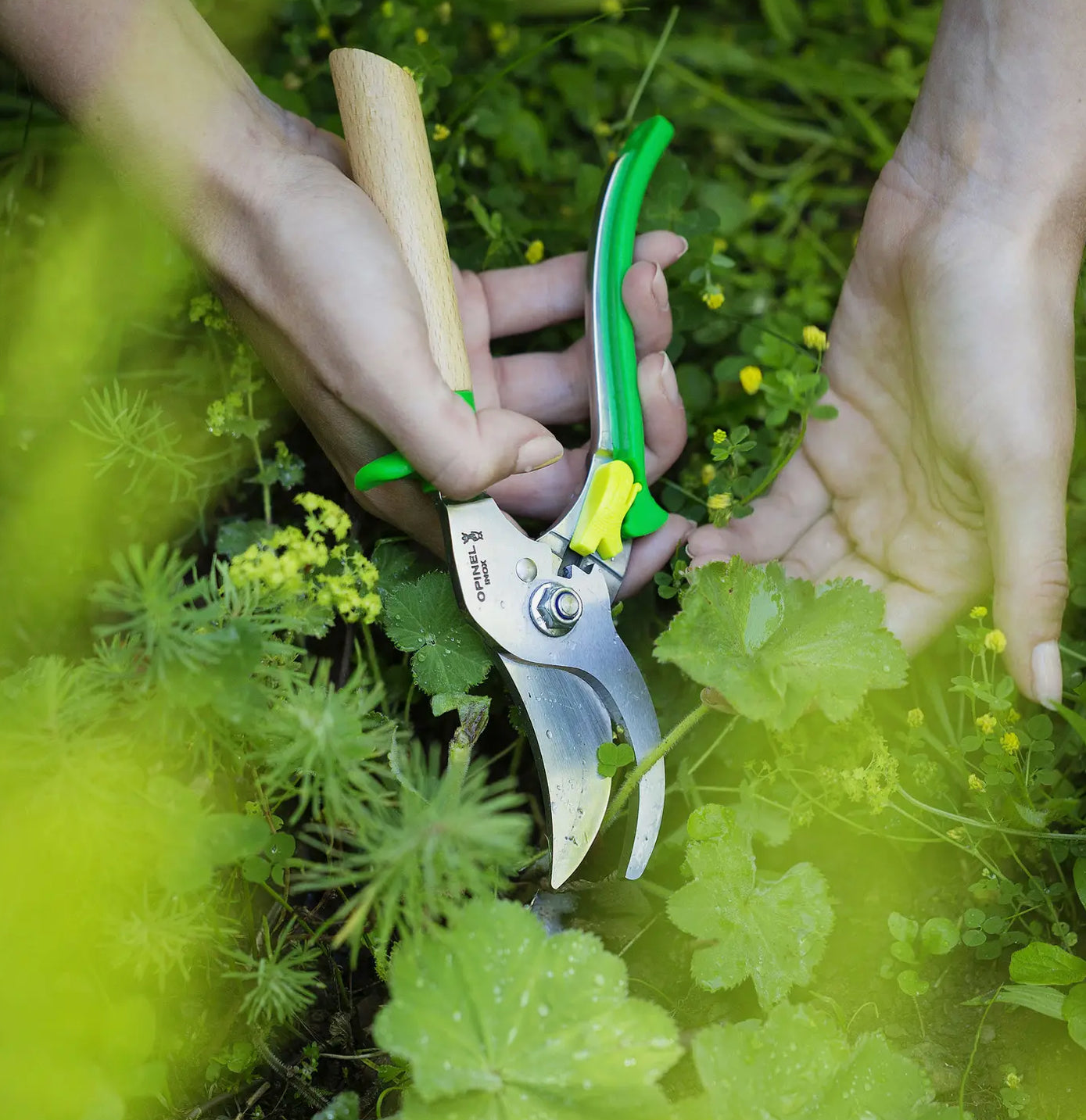 Gardening Shears