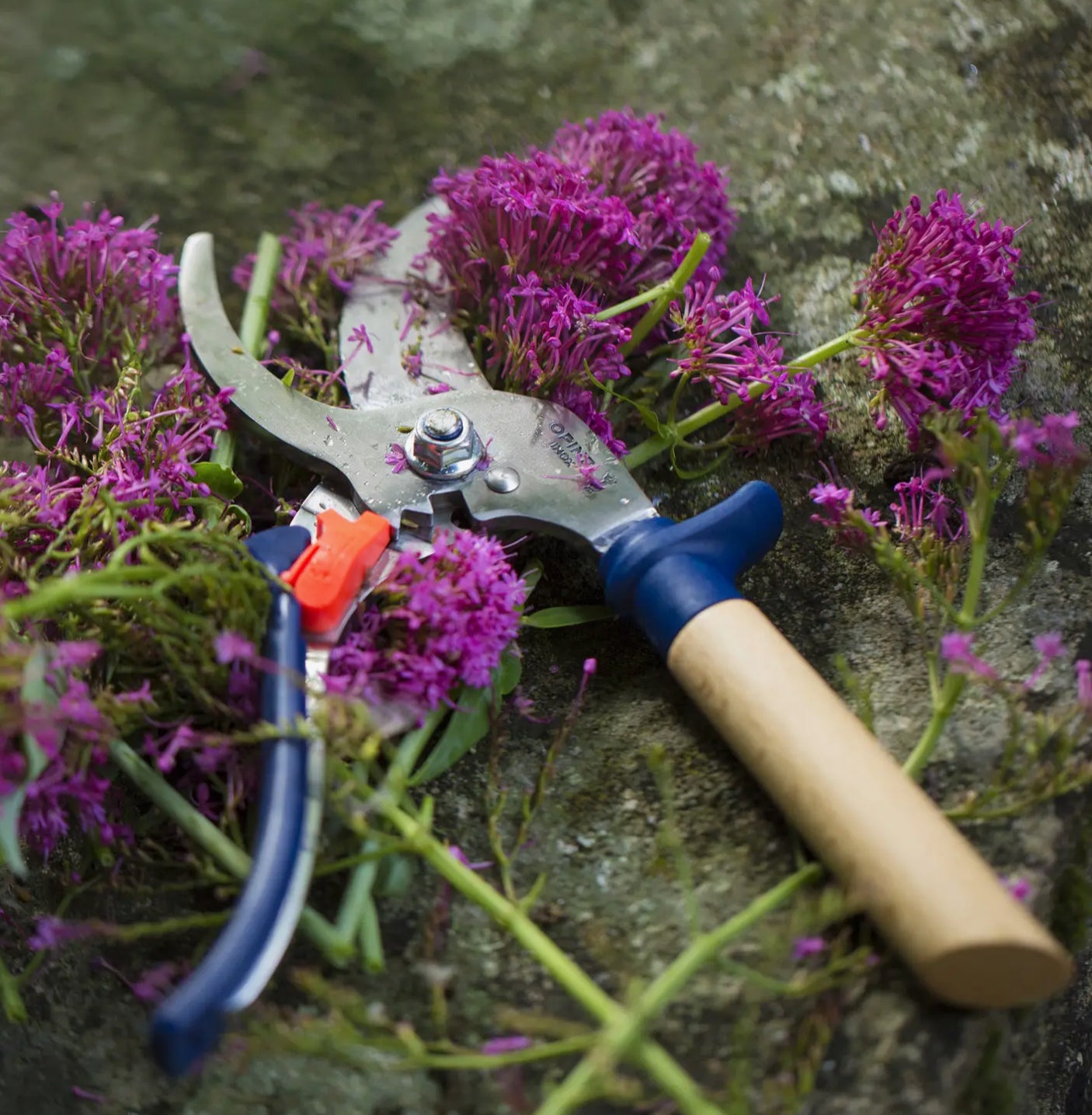 Gardening Shears